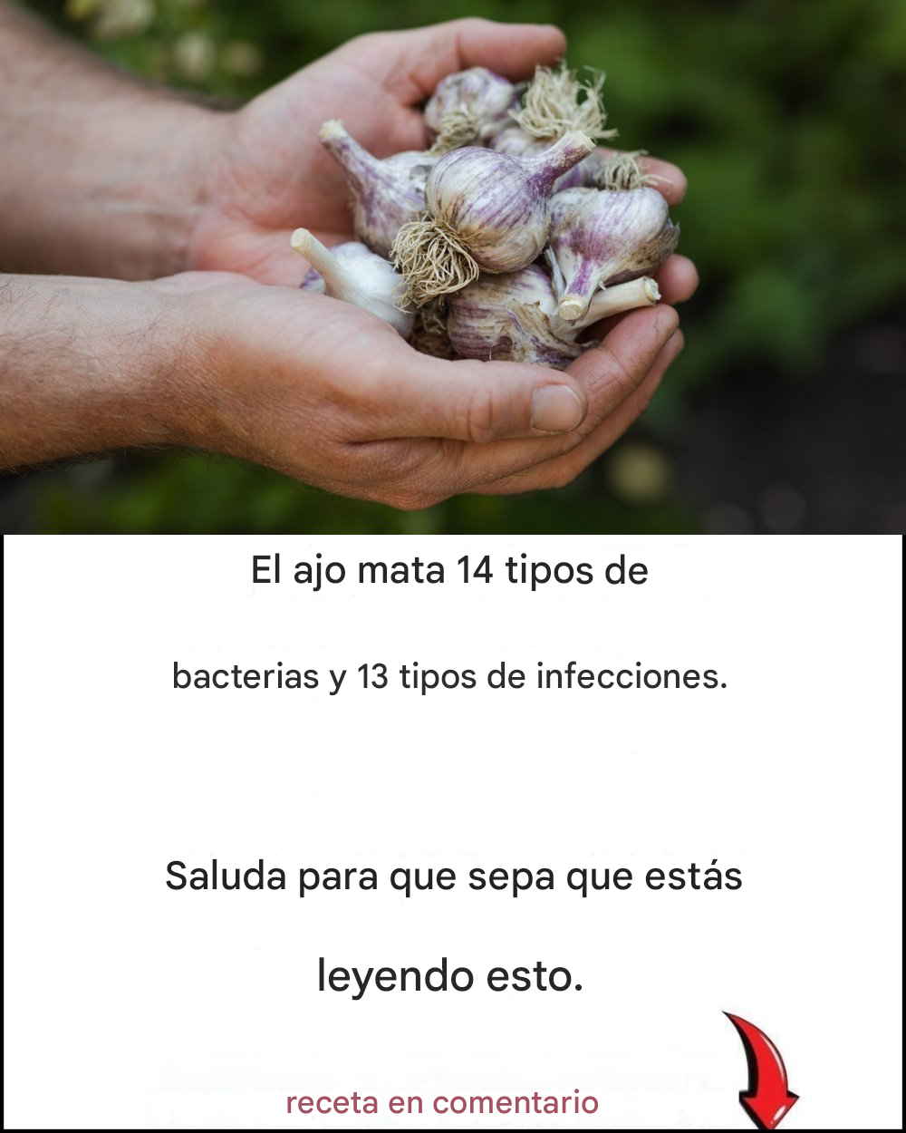 De099959 268b 4a04 9ad9 38c1ff585cef