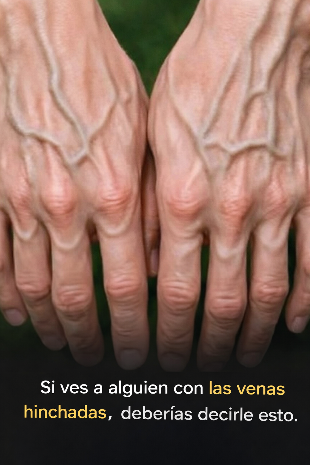 Ec5d603e e7ce 433f af1c 6fb8254b6925