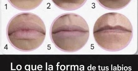 Fc97e674 508c 4a95 b9f3 b95b889fdde4