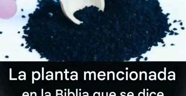 Image 2025 12 15T020438.267