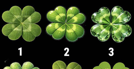 Translated image es 2026 03 18T175623.139