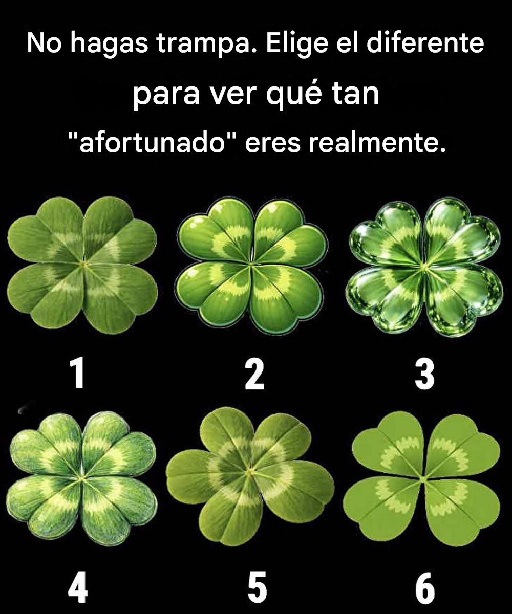 Translated image es 2026 03 18T175623.139