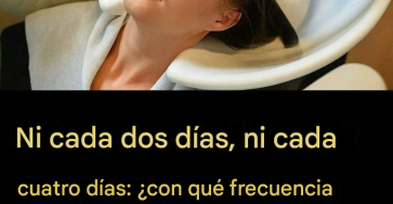 Translated image es 2026 03 20T070210.243