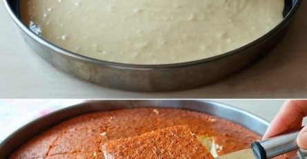 531846284 796930162998328 8500653307369389426 n