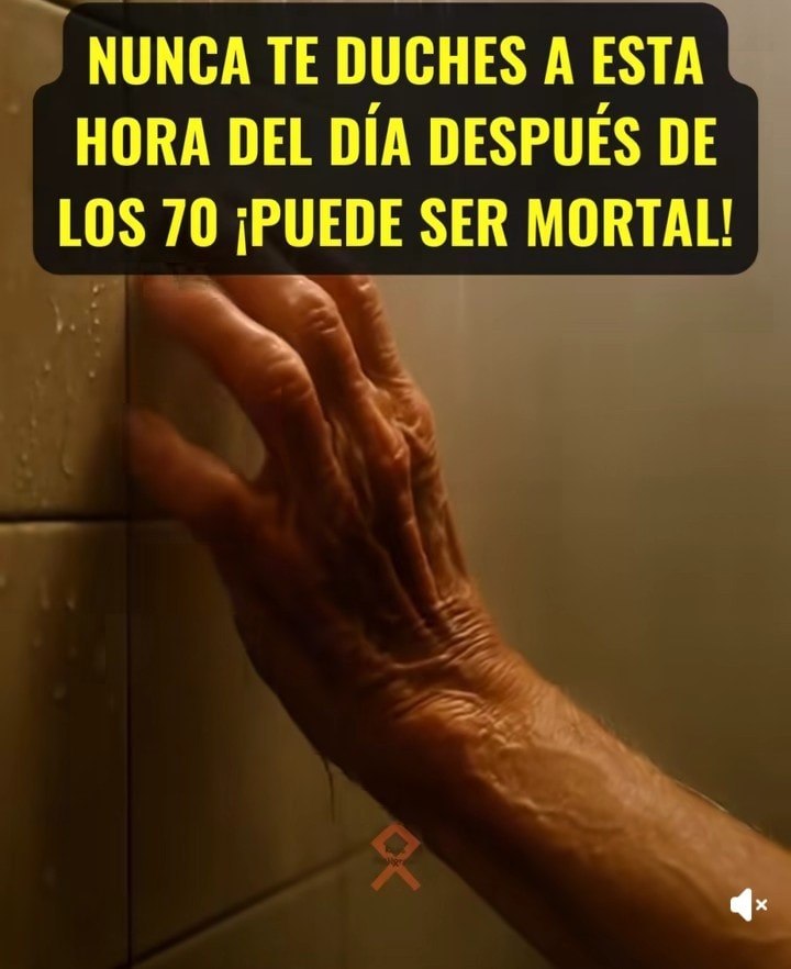 558966273 815530491225373 2223876531744759882 n