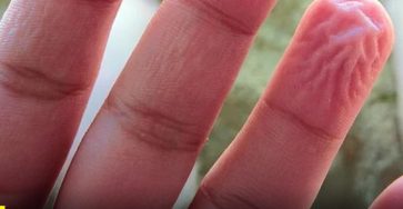 596457505 1263109805847444 8184269030282390368 n