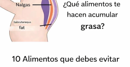 59ad0302 b619 4413 ac41 add8cbc6d201