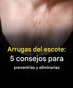 600283890 122159526740638696 6634879049715542314 n