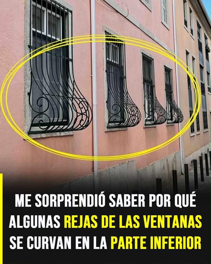 623830441 1302037285288029 9066879951334376517 n 819x1024