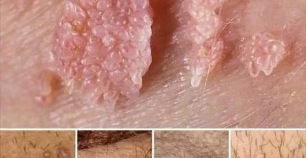 649762605 1366279498864755 7137331568856714595 n