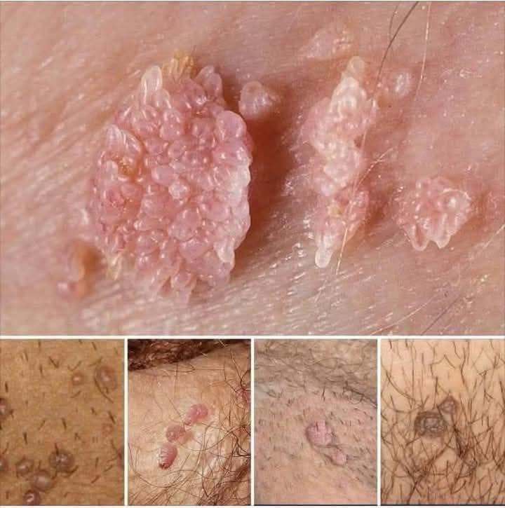 649762605 1366279498864755 7137331568856714595 n