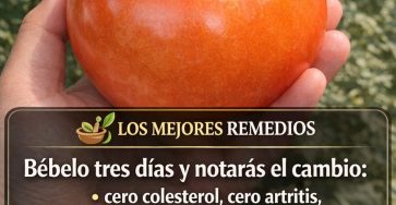 656794208 1509858927367478 1497834435387476856 n