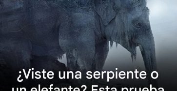 659146097 1504018004636122 191001857764490565 n