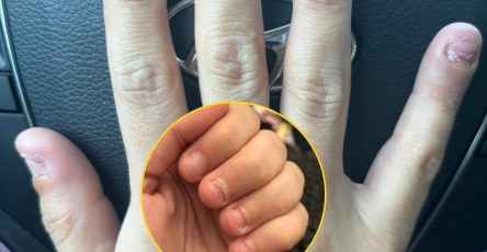 662077631 1503884081307129 6283689335307740666 n