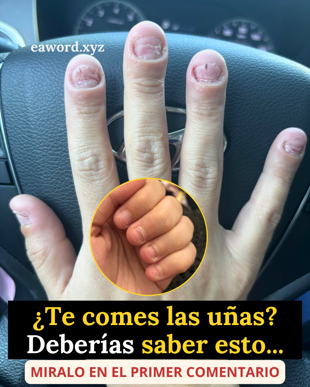 662077631 1503884081307129 6283689335307740666 n