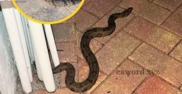 662322872 1533821488101138 660412284257379072 n