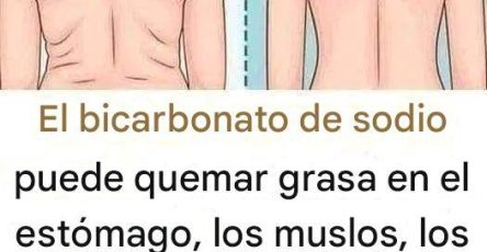 663297855 1295439035848646 4579230685259081453 n