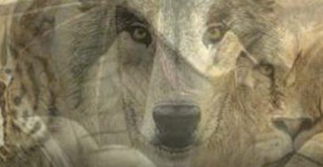 667217410 965918116129861 880197154242851774 n