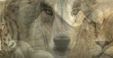 667217410 965918116129861 880197154242851774 n