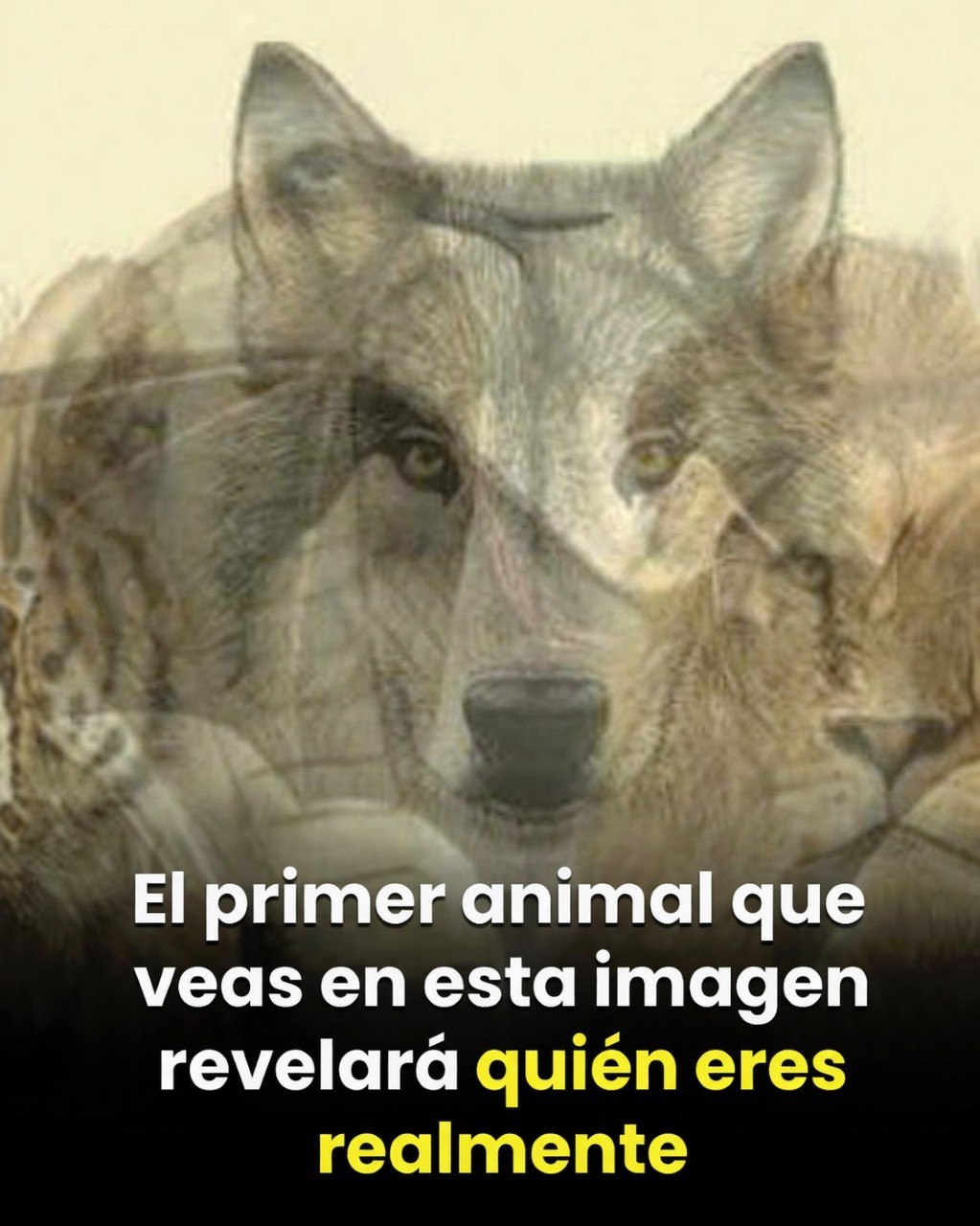 667217410 965918116129861 880197154242851774 n