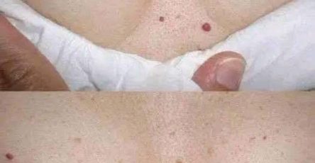 667450980 1463893082191574 8291771435690653423 n