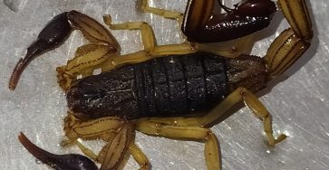 667548859 1510139687348235 4783564202868903610 n (1)