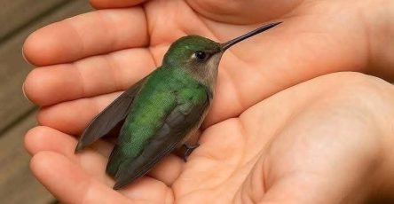 668727395 1463531182227764 4956123947262994727 n