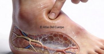 668898591 917882461244462 4787786245898174780 n