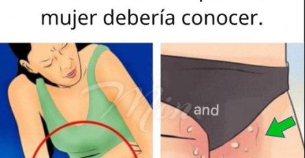 669359969 966687925889880 1081384067294003519 n