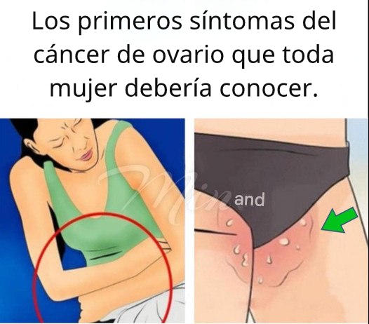 669359969 966687925889880 1081384067294003519 n