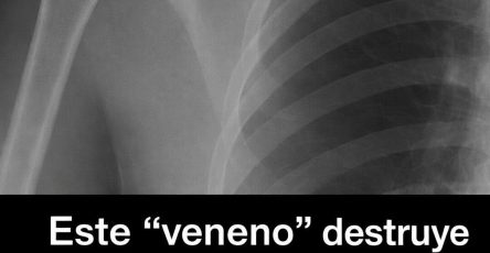 669618699 968790485590661 394238804161605045 n