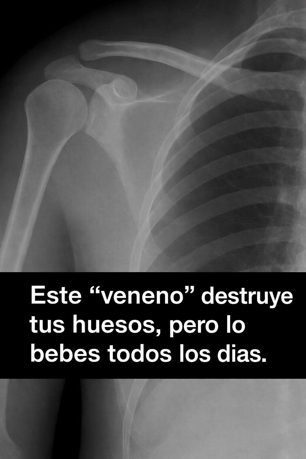 669618699 968790485590661 394238804161605045 n