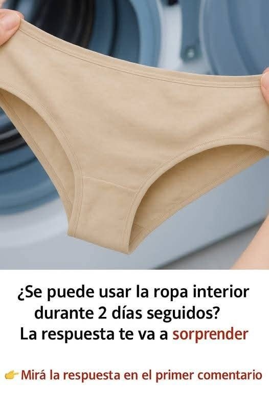 669754959 1472550884917333 7967211149350039865 n