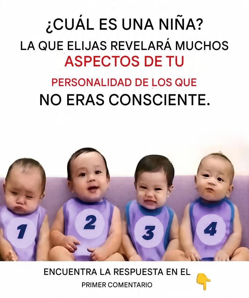 670278723 122123854083196368 661762751341263907 n