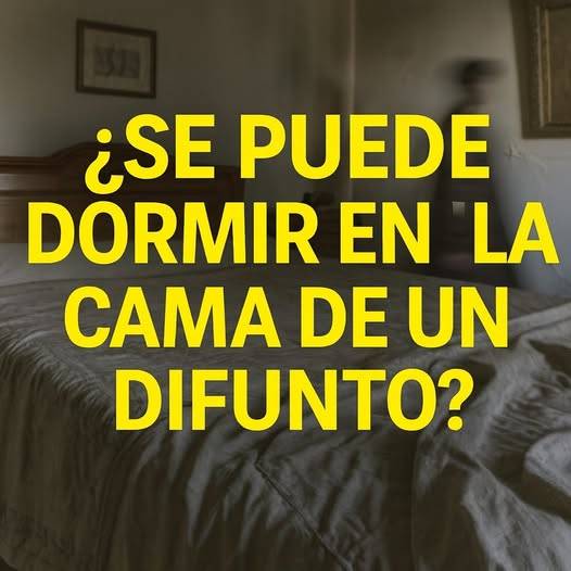 670427596 948287737792889 7045774181518543398 n