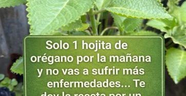 671132313 1524830875870283 7973126933868521946 n