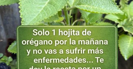 671132313 1524830875870283 7973126933868521946 n