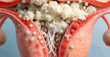 671134237 1464900702090812 6656650419481102457 n