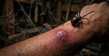 671809611 122232715952289568 103113226045477338 n (1)