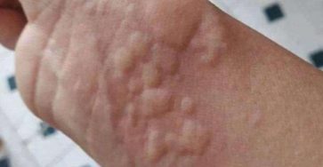 672195083 122123702451205388 4698575326616029179 n