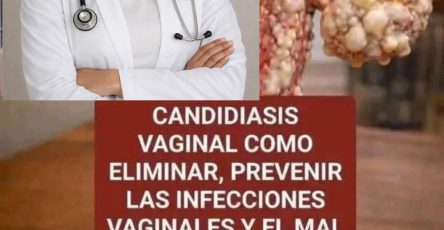 672675076 122224141772505491 8934174425993024238 n