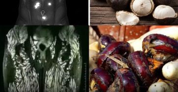 672687726 2198766274229192 7874013558348230536 n