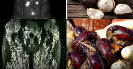 672687726 2198766274229192 7874013558348230536 n