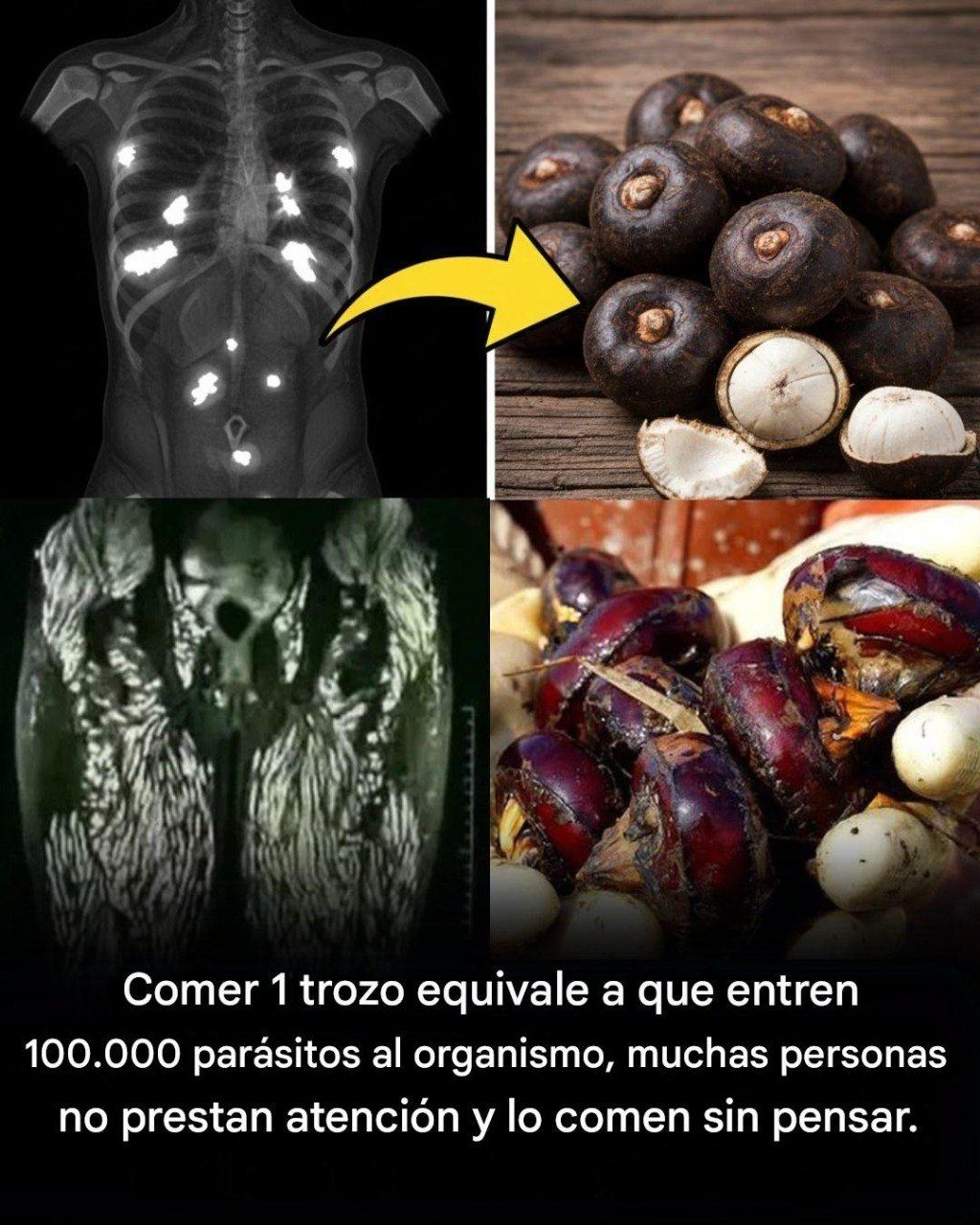 672687726 2198766274229192 7874013558348230536 n