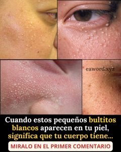 674460087 122220815636355421 30051696349015614 n