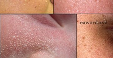 674460087 122220815636355421 30051696349015614 n