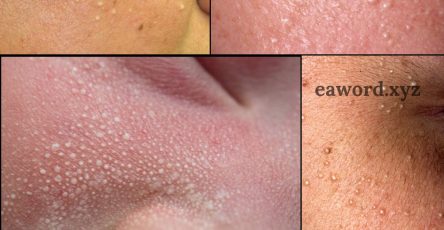 674460087 122220815636355421 30051696349015614 n