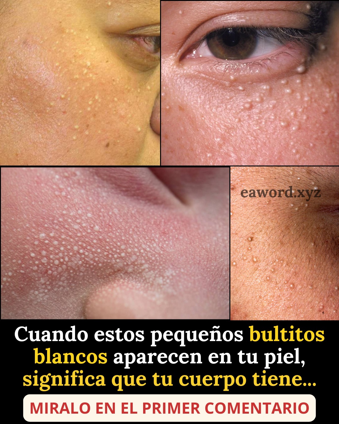 674460087 122220815636355421 30051696349015614 n