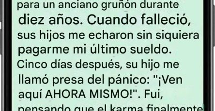 678322745 122167389236721653 3487374252155559589 n