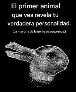 678484390 122367111182195669 4244720171730554924 n